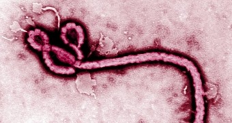 Researchers develop inhalable Ebola vaccine