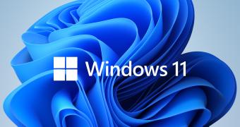 Intel Adds Windows 11 Support To Its Latest 30.0.100.9684 Graphics DCH Driver