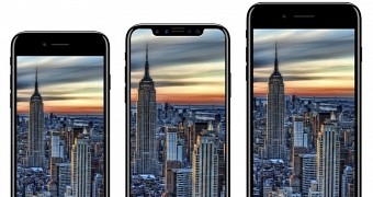 This year, only one iPhone will get an OLED panel