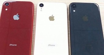 iPhone XC/XR likely to be available in several colors