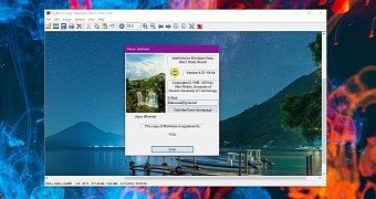 IrfanView 4.53 on Windows 10