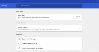 Linux Apps support in Chrome OS