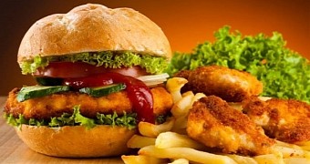 Study sheds new light on how junk food affects the brain