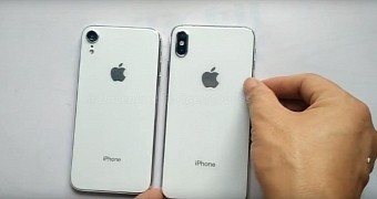LCD iPhone and iPhone X Plus