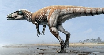 Artist's rendering of the newly found Australian dinosaur