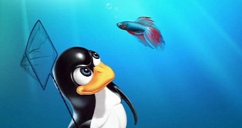 Linux devs see the death of Windows 7 as an opportunity to gain more users