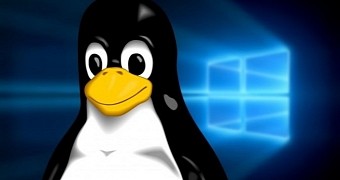 Linux users should be safe thanks to frequent updates