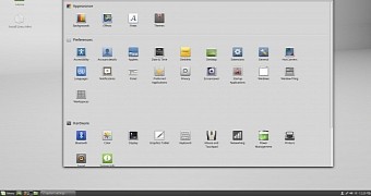 Linux Mint in action