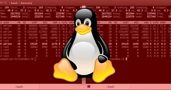 Linux machines used to brute-force other Linux machines