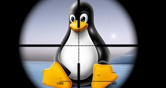The malware targets Linux servers in China