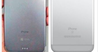 Alleged iPhone 7 Pro with Smart Connector vs. the iPhone 6s Plus