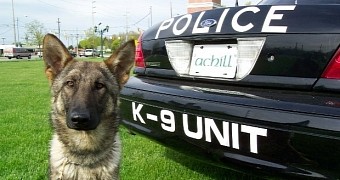 Police dog attacked and bitten by suspect