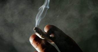 Marijuana use is on the rise in the US, study finds