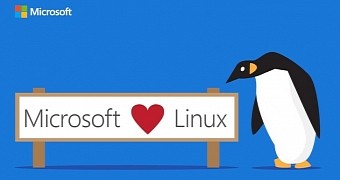 WSL will become a key feature of Windows Server