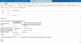 Microsoft Editor in Outlook for Windows