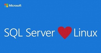 SQL Server loves Linux