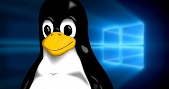 Microsoft Can’t Kill Linux Right Now, The Linux Foundation Director Says