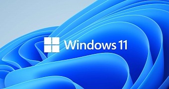 The bug affects all Windows versions, including Windows 11