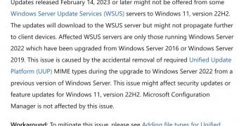 Microsoft Confirms WSUS Bug on Windows 11 Version 22H2