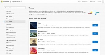 Themes in the Microsoft add-on store