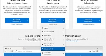 Windows 10X build of Microsoft Edge