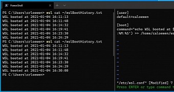 Users can now run WSL commands on startup