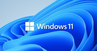 The update is now live for Windows 11