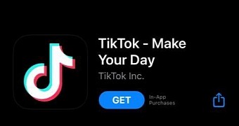 TikTok can be saved only by American ownership
