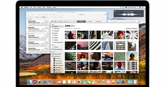 High Sierra expected to launch next month