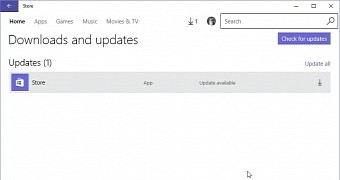 Windows 10 store update