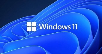 The Windows 11 desktop