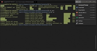 microsoft windows terminal command line experience