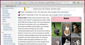 Midori 0.5.11 Open-Source Web Browser Adds Support for Client Side Decorations