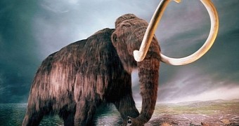 Mammoth remains found in Michigan