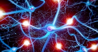 Mind Meld Made Real: Scientists Create Brain-to-Brain Networks