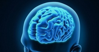 Mind Reading Made Real: Scientists Connect Two Human Brains