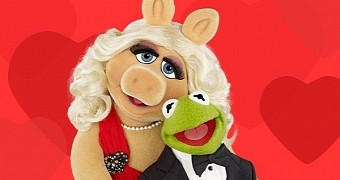Miss Piggy and Kermit The Frog Announce Split, the Internet Is Gutted