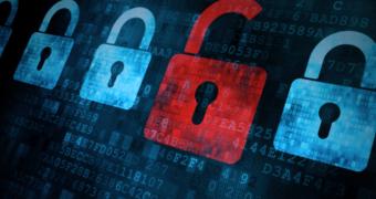 More Businesses Adopting Encryption in the Last Year