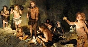 Neanderthals were quite sophisticated, study reveals