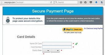One of the fake checkout phishing pages