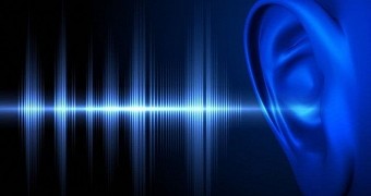 Realtek rolls out new audio build