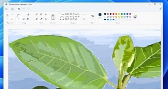 The new MS Paint app