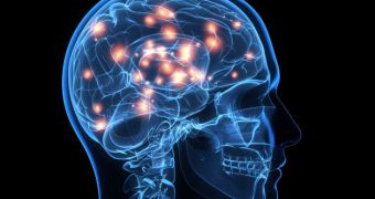 No Two Brains Are Alike, Investigation Reveals