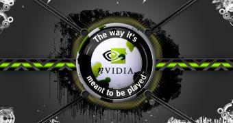 NVIDIA Vulkan GeForce 426.06 Beta Driver Is Out - Download Now