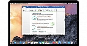 real-time collaborative for office excel 2016 for mac