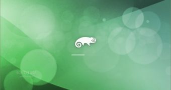 openSUSE 11.3 boot splash
