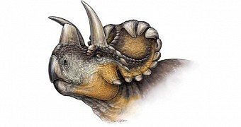 Artist's depiction of Wendiceratops pinhornensis