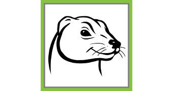 PCFerret Review: Find Files Using Forensics Tools and Get System Info