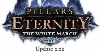 New update is live for Pillars of Eternity