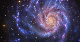 7 new dwarf galaxies found close to spiral galaxy M101